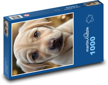 Šteňa labradorského retrievera Puzzle 1000 dielikov - 60 x 46 cm 