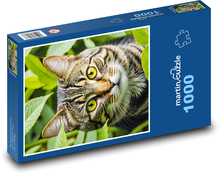 Mačka v záhrade Puzzle 1000 dielikov - 60 x 46 cm 
