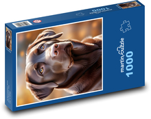 Labrador - domácí mazlíček Puzzle 1000 dílků - 60 x 46 cm