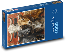 Stádo kráv na farme Puzzle 1000 dielikov - 60 x 46 cm 