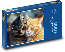 Mačky - priatelia, domáce zviera Puzzle 1000 dielikov - 60 x 46 cm 
