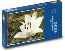 White lily flower - flower in the garden, beautiful flower Puzzle 1000 pieces - 60 x 46 cm 