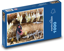 Motýľ - hmyz, kapucne Puzzle 1000 dielikov - 60 x 46 cm 
