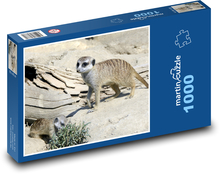 Erdmännchen - Kleintier, Säugetier in der Natur Puzzle 1000 Teile - 60 x 46 cm
