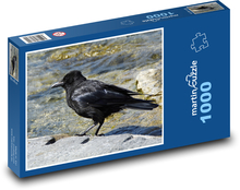 Vrana - čierny vták, zviera Puzzle 1000 dielikov - 60 x 46 cm 