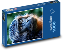 Detská opička Puzzle 1000 dielikov - 60 x 46 cm 