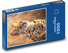 Divoká kočka v poušti Puzzle 1000 dílků - 60 x 46 cm