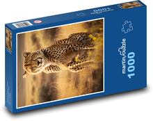 Gepard na savane Puzzle 1000 dielikov - 60 x 46 cm
