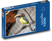 Tukan auf einem Ast sitzen Puzzle 1000 Teile - 60 x 46 cm
