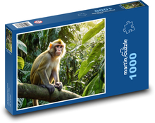 Detská opička na strome Puzzle 1000 dielikov - 60 x 46 cm 