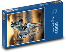 Zebra vo voľnej prírode Puzzle 1000 dielikov - 60 x 46 cm 