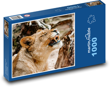 Lioness with outstretched teeth Puzzle 1000 pieces - 60 x 46 cm 