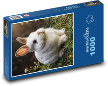 Biely králik v tráve Puzzle 1000 dielikov - 60 x 46 cm 