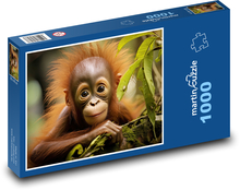 Roztomilé mládě orangutana Puzzle 1000 dílků - 60 x 46 cm