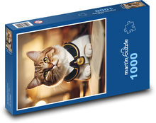 Wykształcony kot z książką Puzzle 1000 elementów - 60x46 cm