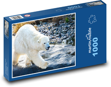 Ľadový medveď. Puzzle 1000 dielikov - 60 x 46 cm 