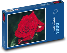 Červená ruža s rannou rosou Puzzle 1000 dielikov - 60 x 46 cm 