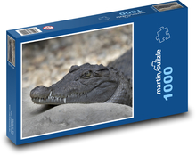 Odpočívajúci aligátor Puzzle 1000 dielikov - 60 x 46 cm 