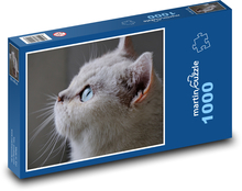 Sivá mačka s dlhou bradou Puzzle 1000 dielikov - 60 x 46 cm 