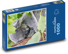 Koala bear sleeping in a tree Puzzle 1000 pieces - 60 x 46 cm 