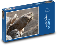 Huge turtle Puzzle 1000 pieces - 60 x 46 cm 