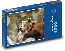 Medveď grizly Puzzle 1000 dielikov - 60 x 46 cm 