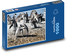 Pinguine - Südafrika, Kapstadt Puzzle 1000 Teile - 60 x 46 cm