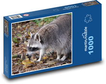Mýval hledajcí potravu Puzzle 1000 dílků - 60 x 46 cm