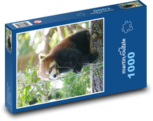Panda czerwona Puzzle 1000 elementów - 60x46 cm