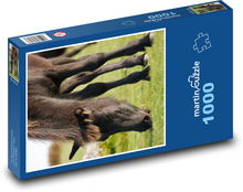 Pony grasen auf einer Wiese Puzzle 1000 Teile - 60 x 46 cm