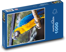 Papagáj - vták, ZOO Puzzle 1000 dielikov - 60 x 46 cm 