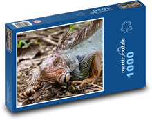 Leguán - Kostarika, plaz Puzzle 1000 dílků - 60 x 46 cm