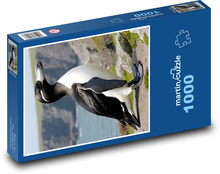 Pinguin - Tier, Küste Puzzle 1000 Teile - 60 x 46 cm