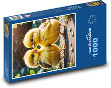 Žlté kurčatá Puzzle 1000 dielikov - 60 x 46 cm