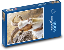 Big Horned Goat Puzzle 1000 pieces - 60 x 46 cm 