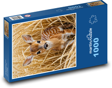 Srnka v obilí Puzzle 1000 - 60x46 cm
