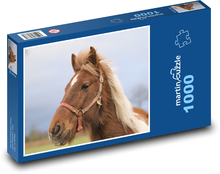 Brązowy koń Puzzle 1000 elementów - 60x46 cm