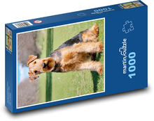 Hund - Airedale Terrier Puzzle 1000 Teile - 60 x 46 cm