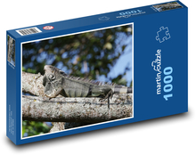 Lizard Puzzle 1000 pieces - 60 x 46 cm 