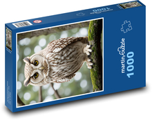 Eule Puzzle 1000 Teile - 60 x 46 cm