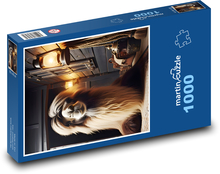 Wielbłąd Puzzle 1000 elementów - 60x46 cm