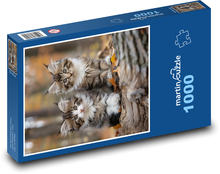 Katzen Puzzle 1000 Teile - 60 x 46 cm