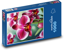 Květ orchideje Puzzle 1000 dílků - 60 x 46 cm