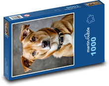 Pes Puzzle 1000 dielikov - 60 x 46 cm 