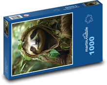 Leniwiec Puzzle 1000 elementów - 60x46 cm