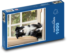 Pes - border kolie Puzzle 1000 dílků - 60 x 46 cm