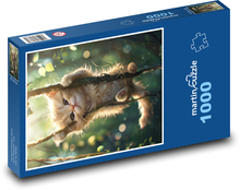 Cat  Puzzle 1000 pieces - 60 x 46 cm 