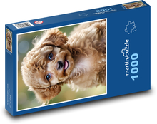 Pudel - šteniatko Puzzle 1000 dielikov - 60 x 46 cm 
