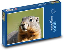Murmeltier Puzzle 1000 Teile - 60 x 46 cm