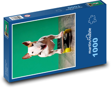 Skateboarding dog Puzzle 1000 pieces - 60 x 46 cm 